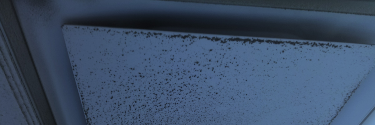 What Facilities Miss When They Put Off Commercial Air Duct Cleaning
